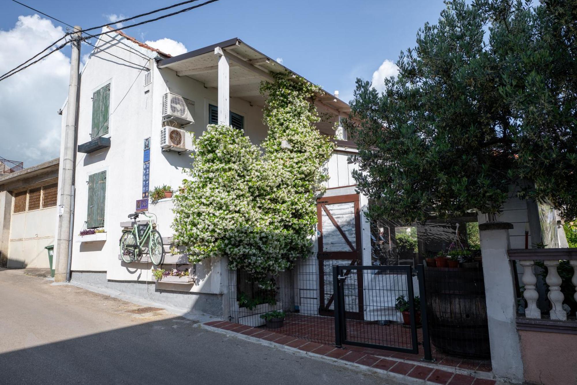 Guest House Mediterranea Pakoštane Buitenkant foto